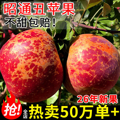 昭通糖心丑苹果丨脆甜多汁