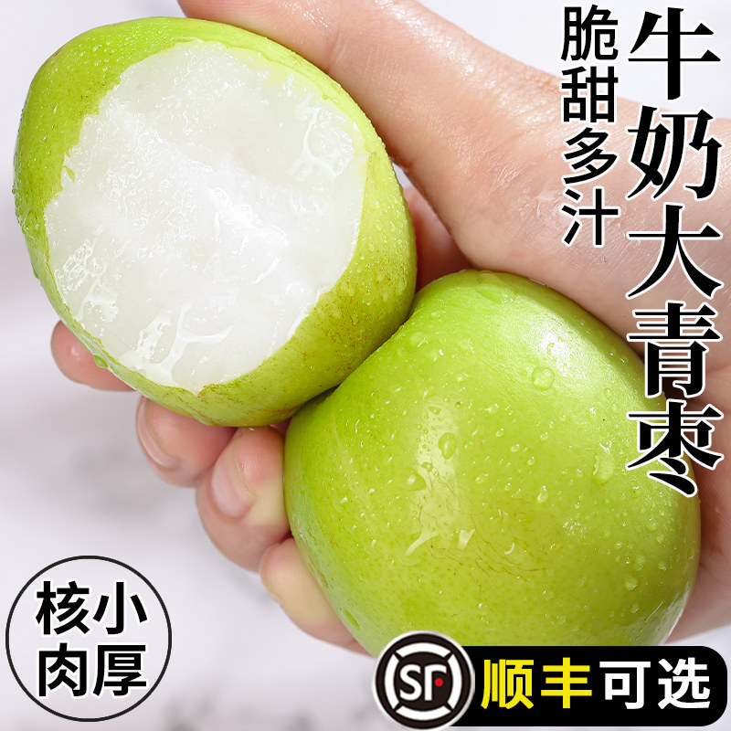 福建牛奶枣大青枣9斤新鲜贵妃鲜枣漳州水果脆枣子非苹果冬东枣,水产肉类/新鲜蔬果/熟食,枣,淘宝优惠券,粉丝福利购,淘宝优惠卷