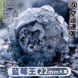 高山云南蓝莓现摘顺丰孕妇高端整箱当季新鲜水果怡颗脆甜蓝梅正宗
