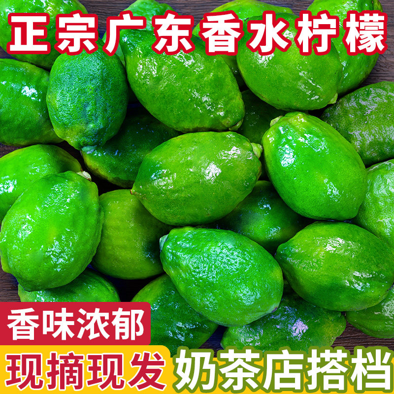 正宗广东香水柠檬新鲜现摘青柠檬一级果水果整箱包邮奶茶店专用