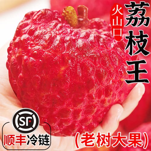 【顺丰送上门】特大果王荔枝王