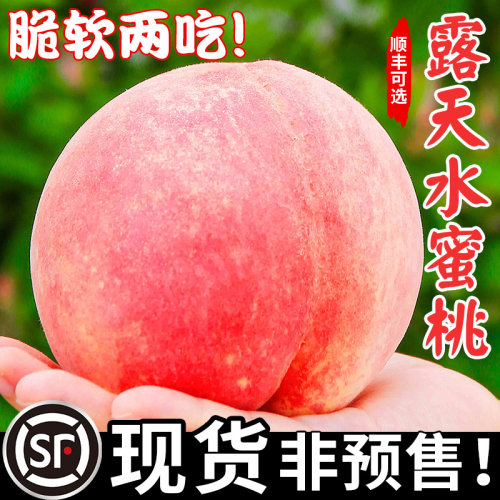 【现货速发】新鲜露天水蜜桃