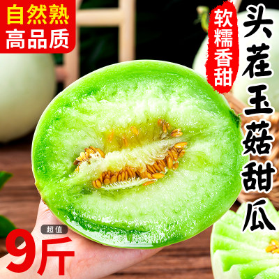 冰淇淋玉菇甜瓜新鲜正宗头茬现摘