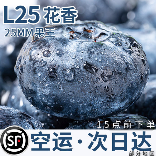 【商超品质】精选25+蓝莓果王