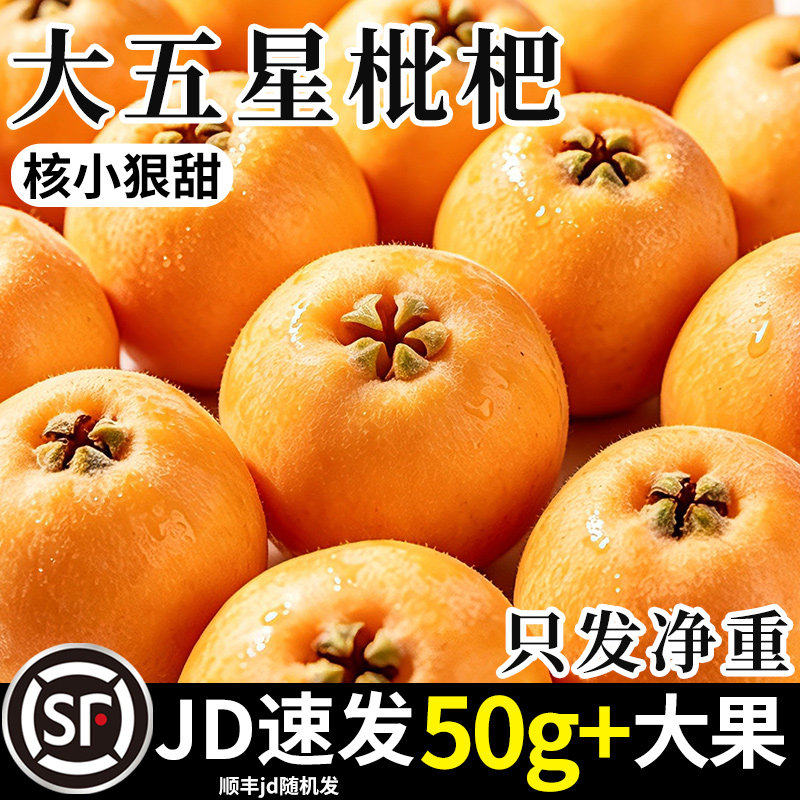 四川大五星枇杷鲜果新鲜甜琵琶当季孕水果米易应季批把妇大果50g