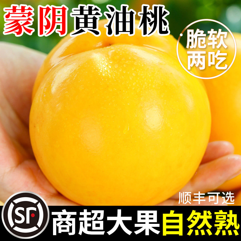 【热卖推荐】正宗山东蒙阴黄油桃