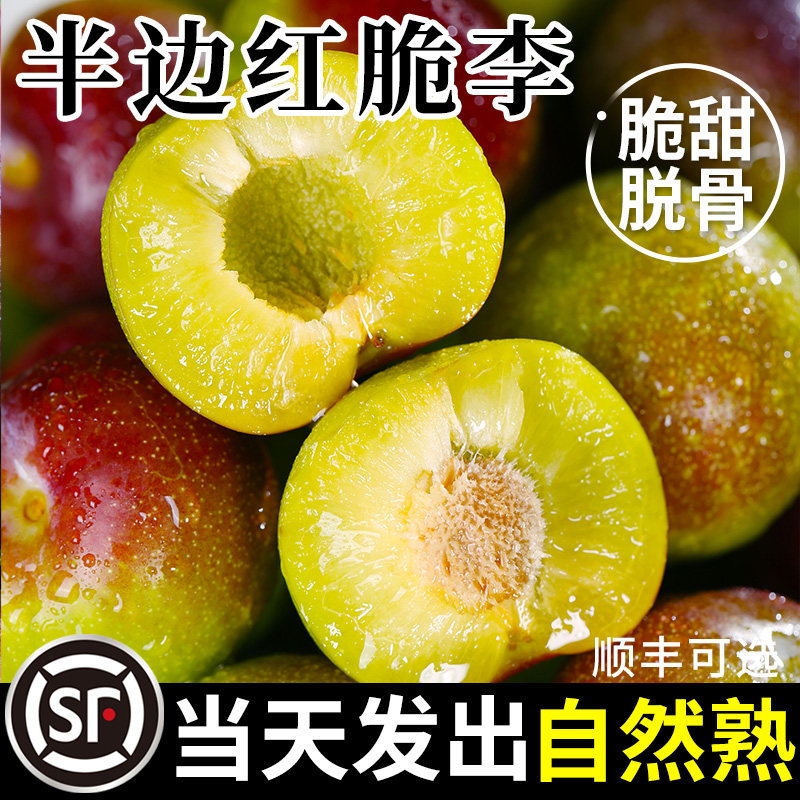 【当天速发】四川半边红脱骨脆李
