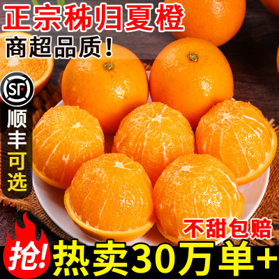 热卖推荐！秭归夏橙，香甜多汁