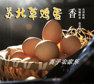 农家自养自产自销苏北农家散养土鸡蛋新鲜草鸡蛋笨鸡蛋30颗