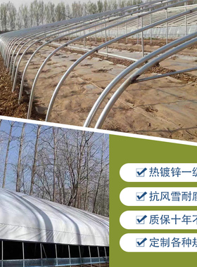 温室钢管大棚骨架养殖种植暖棚全套猪鸡舍钢架连栋组装简易蔬菜棚