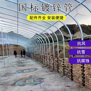 大棚骨架钢管全套蔬菜种植养殖猪牛鸡椭圆管半坡暖棚保温钢架连栋