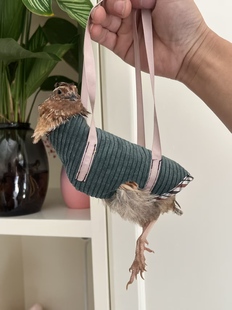 鹌鹑把手布袋提升胆量控鹌鹑神器 2.3-3.7两通用