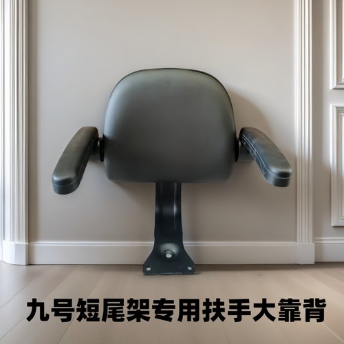 九号短尾架加装大靠背