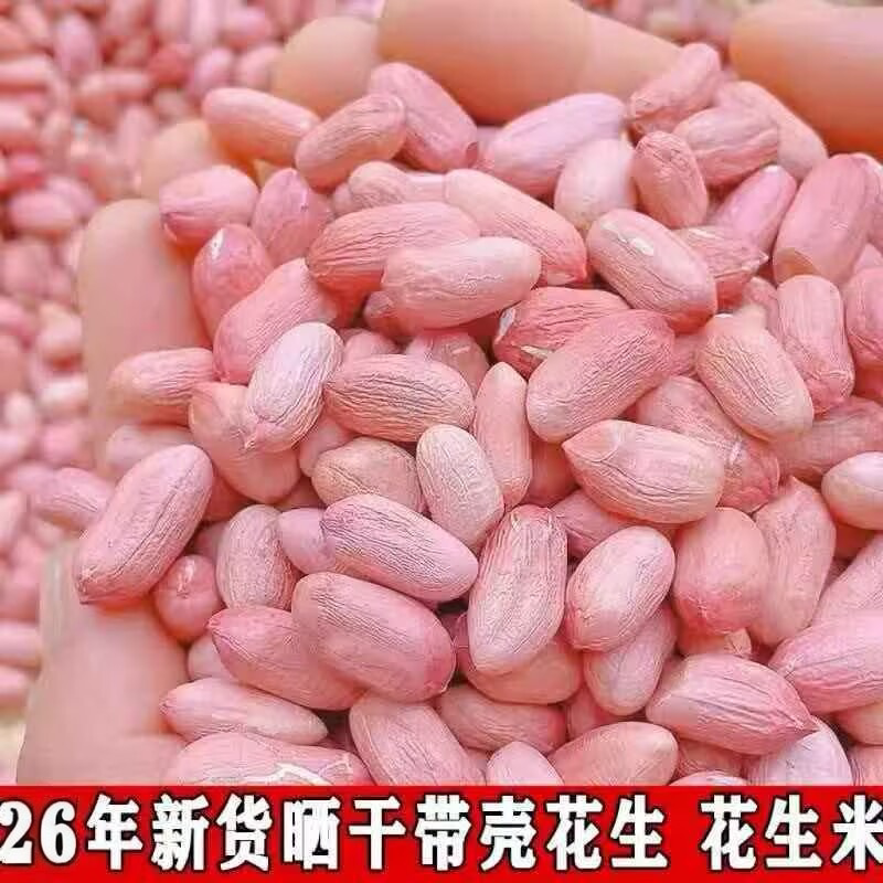 2026年花生米生新货晒干优质花生