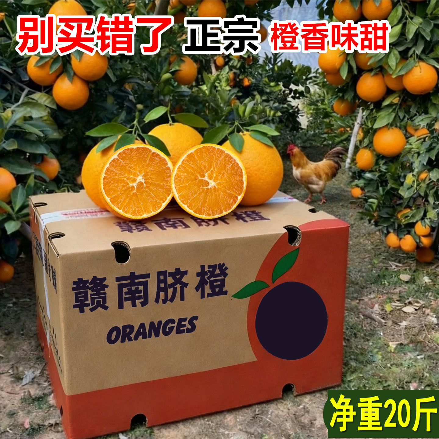 【9年老店】只卖正宗赣南脐橙