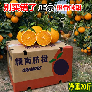 正宗赣南脐橙精品大果20斤江西赣州寻乌橙子新鲜甜水果产地直发10
