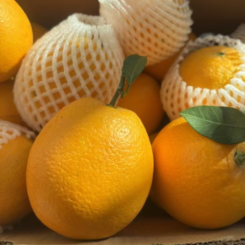 5斤装江西赣南脐橙新鲜手剥甜橙子当季水果整箱包邮赣州产地直发