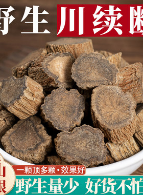 野生川续断泡水泡酒中药材川断续