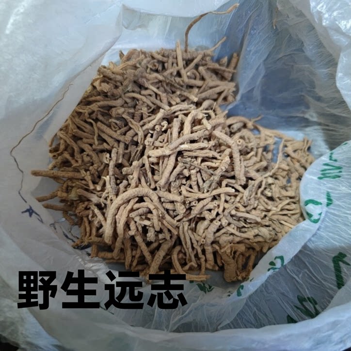 野生远志中药材正品250g 远志抽芯率98% 中药材石菖蒲远志益智仁