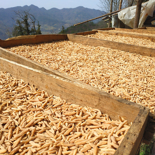 正宗野生麦冬500克特级 黄芪麦冬泡水喝 麦冬特级麦冬中药材正品