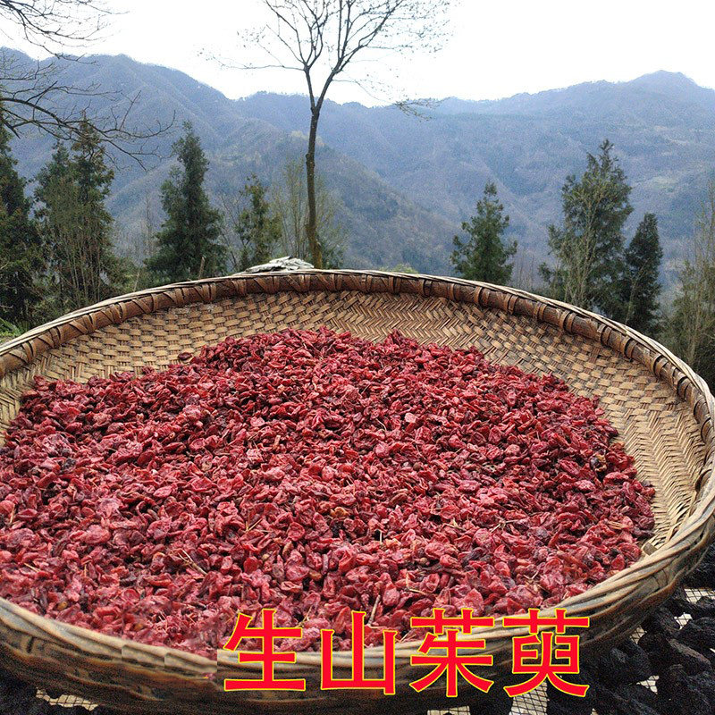 秦岭野生山茱萸中药材正品 山茱萸泡水喝的功效与作用 山茱萸泡茶