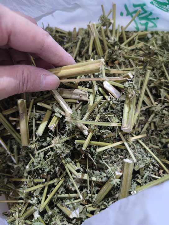 野生干益母草中药材泡水喝250g益母草中药材泡脚益母草中药材调经