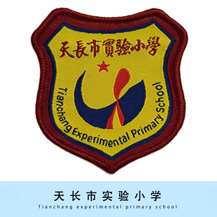 【现货】天长市实验小学徽章校徽校标可定制