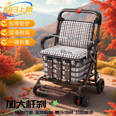购物可坐四轮便携防摔小推车家用