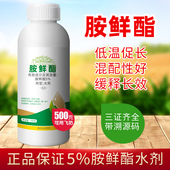 6国标水剂快速调节生长大包装 胺鲜酯植物生长调节剂正品 农用5%DA
