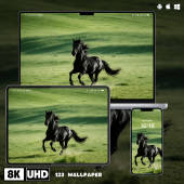 绿草地奔跑 黑马马到成功8K壁纸iphone苹果安卓手机电脑平板壁纸