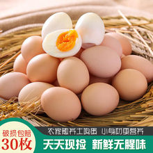 禾田下新鲜土鸡蛋正宗农家散养草鸡蛋整箱生吃鲜鸡蛋笨鸡蛋柴鸡蛋