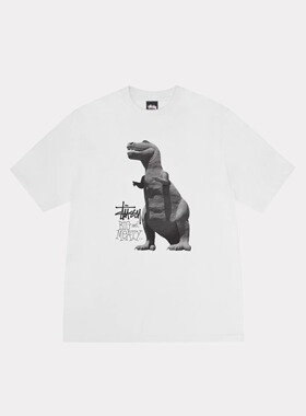 现货正品 Stussy Big & Meaty Tee 25SS新款恐龙图案水洗短袖T恤