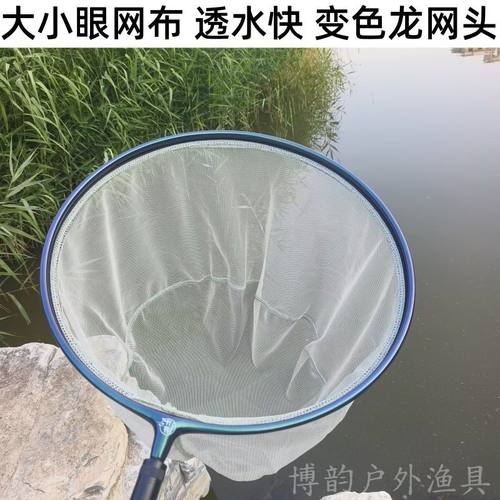 竞技变色龙珠光网头