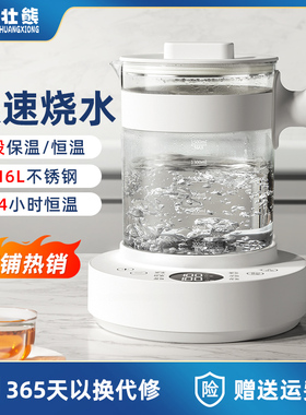 .震普 WJ- B390_1603050646烧水壶2025新款家用小型智能恒温保温