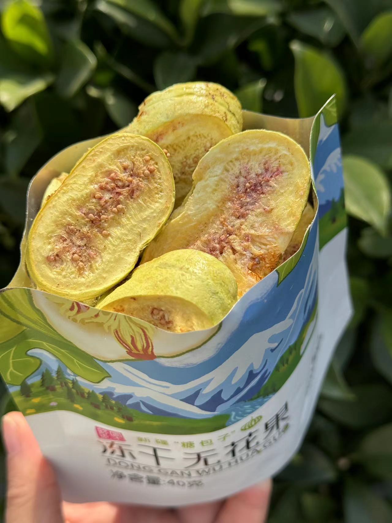 【新品】新疆无花果冻干 糖包子酥脆甘甜 非油炸无添加健康零食 零食/坚果/特产 冻干水果/冻干奶块/混合冻干 原图主图