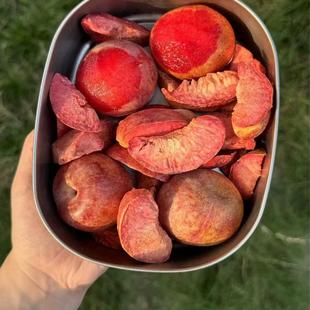 新疆五零团冻干杏子李子图木舒克冬非油炸袋装冻干恐龙蛋