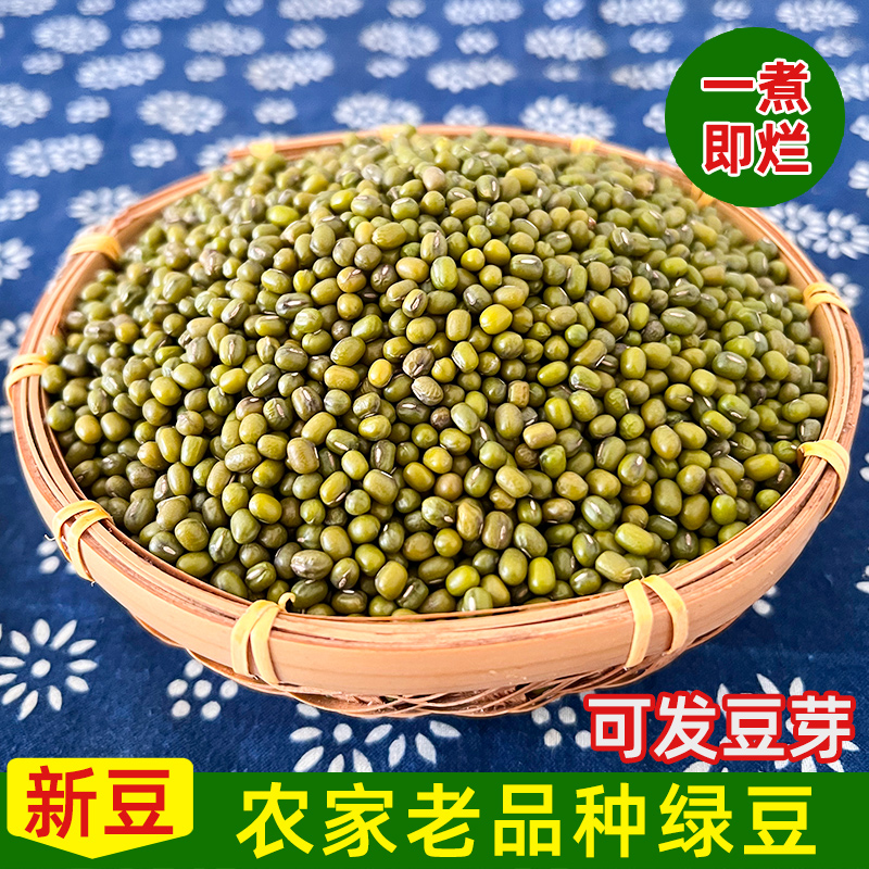 优质农家绿豆干货2024年新豆