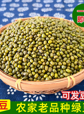 2026江西新鲜农家优质绿豆新货