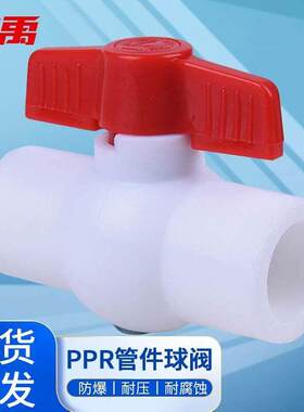 冰禹BJjj-225PPR球阀自来水管件配件阀门平口水阀颜色随机32