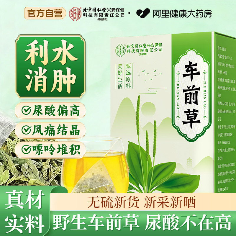 车前草野生泡水利尿正品尿酸茶包官方旗舰店中药材新鲜北京同仁堂