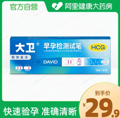 大卫人绒毛膜促性腺激素(HCG)检测试纸(胶体金法)1支装