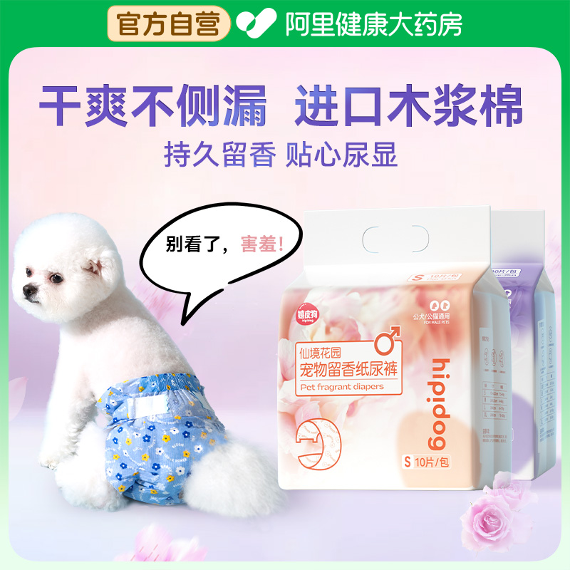 狗狗尿不湿宠物纸尿裤公狗母狗专用生理裤猫咪拉拉裤安全防侧漏