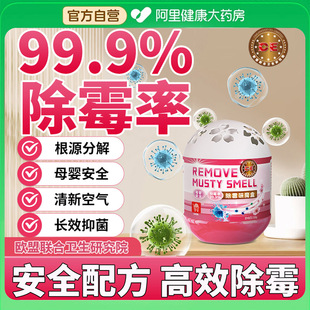 除霉神器房间墙面除霉天花板家用浴室浴帽除霉味剂 全屋无霉斑