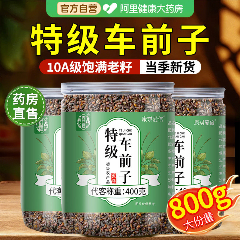 养益君车前子茶籽原壳搭中草药材正品旗舰店非野生圆苞车前子壳粉