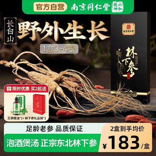 同仁堂人参20+长白山林下参野参