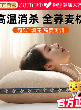 全荞麦壳枕头护颈椎纯荞麦皮枕芯单个装助睡眠家用侧睡成人硬整头