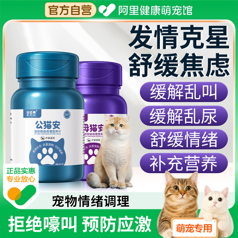 【宠物院线同款】猫咪发情抑情片