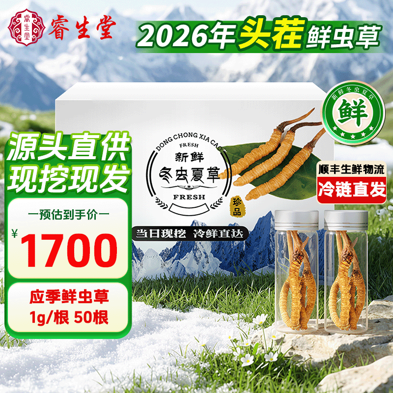 睿生堂【26年鲜虫草】新鲜头茬冬虫夏草1g/根50根 源头直发包邮