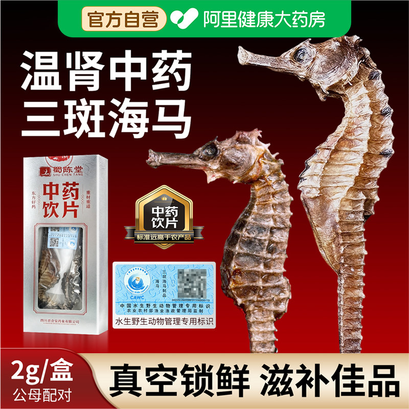 蜀陈堂三斑海马2g/对一公一母海马干货中药饮片田七煲汤泡酒药材图片