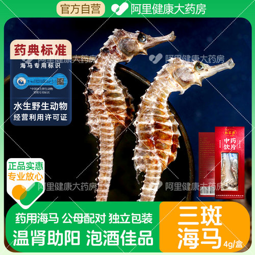 钰宸源三斑海马4g/盒公母配对泡酒中药干货中药饮片中药材